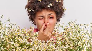 Seasonal Allergy & Hayfever Relief: Explore Your Treatment Options